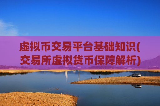 虚拟币交易平台基础知识(交易所虚拟货币保障解析)
