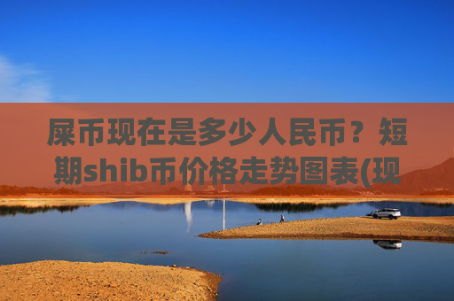 屎币现在是多少人民币？短期shib币价格走势图表(现价0.00015917元)