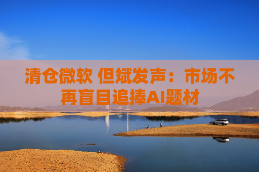 清仓微软 但斌发声：市场不再盲目追捧AI题材