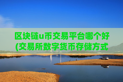 区块链u币交易平台哪个好(交易所数字货币存储方式对比)