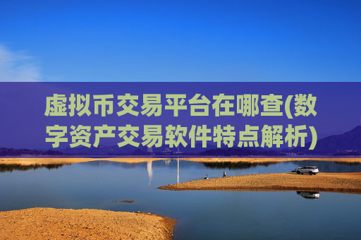 虚拟币交易平台在哪查(数字资产交易软件特点解析)