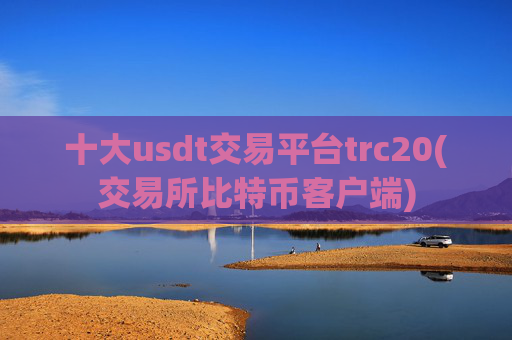 十大usdt交易平台trc20(交易所比特币客户端)