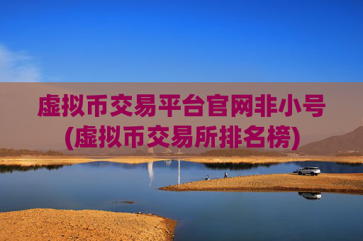 虚拟币交易平台官网非小号(虚拟币交易所排名榜)
