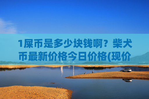 1屎币是多少块钱啊？柴犬币最新价格今日价格(现价0.00016966元)