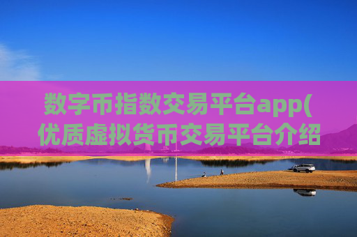 数字币指数交易平台app(优质虚拟货币交易平台介绍)