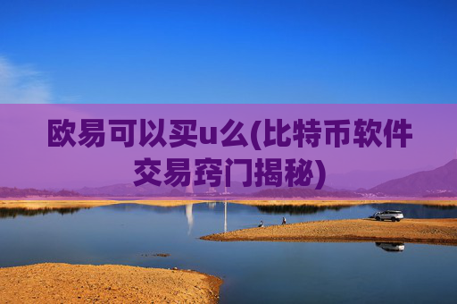 欧易可以买u么(比特币软件交易窍门揭秘)