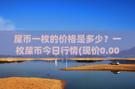 屎币一枚的价格是多少？一枚屎币今日行情(现价0.00017284元)