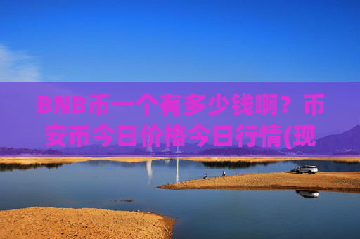 BNB币一个有多少钱啊？币安币今日价格今日行情(现价5040.99元)