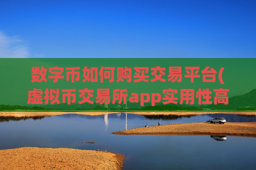 数字币如何购买交易平台(虚拟币交易所app实用性高)