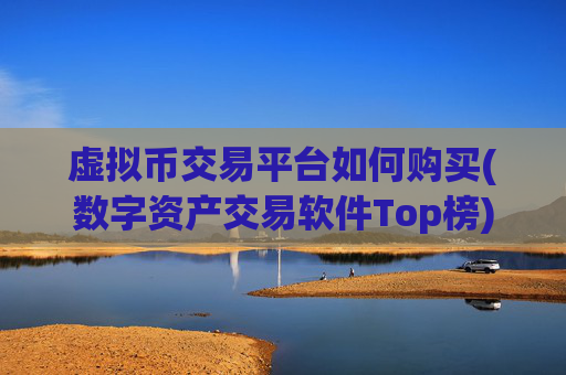 虚拟币交易平台如何购买(数字资产交易软件Top榜)