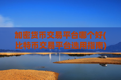 加密货币交易平台哪个好(比特币交易平台选用指南)