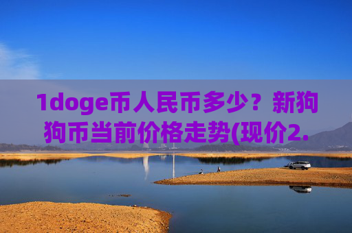 1doge币人民币多少？新狗狗币当前价格走势(现价2.4662元)