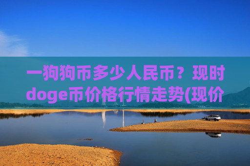一狗狗币多少人民币？现时doge币价格行情走势(现价2.5494元)