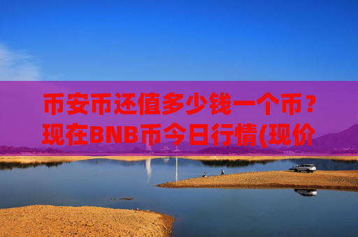 币安币还值多少钱一个币？现在BNB币今日行情(现价4833.75元)