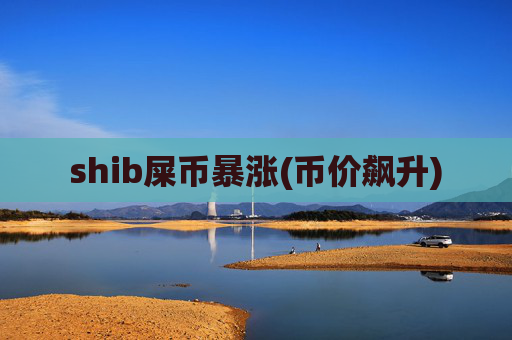 shib屎币暴涨(币价飙升)