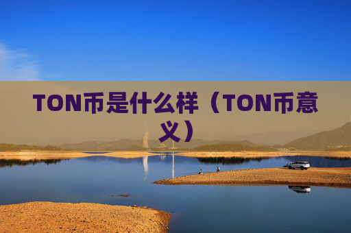 TON币是什么样（TON币意义）