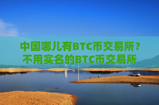中国哪儿有BTC币交易所？不用实名的BTC币交易所