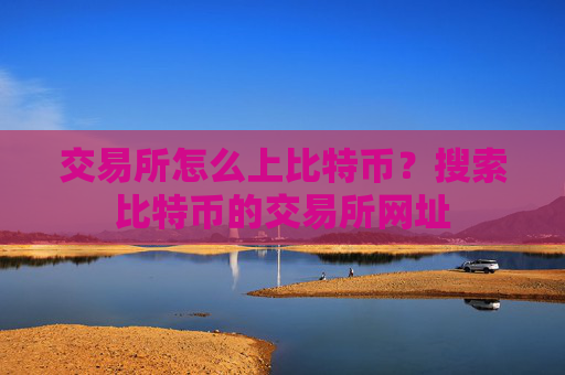 交易所怎么上比特币？搜索比特币的交易所网址