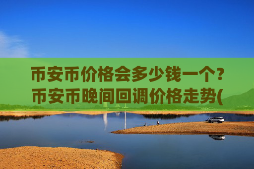 币安币价格会多少钱一个？币安币晚间回调价格走势(现价5012.56元)