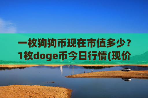 一枚狗狗币现在市值多少？1枚doge币今日行情(现价2.5594元)