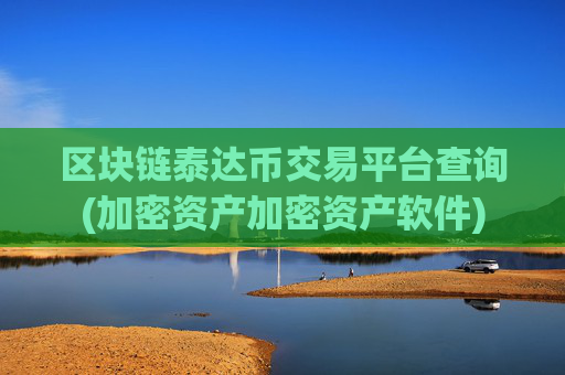 区块链泰达币交易平台查询(加密资产加密资产软件)