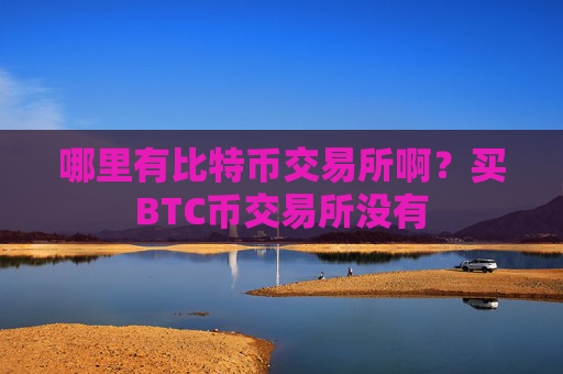 哪里有比特币交易所啊？买BTC币交易所没有