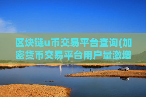 区块链u币交易平台查询(加密货币交易平台用户量激增)