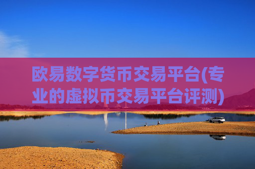 欧易数字货币交易平台(专业的虚拟币交易平台评测)