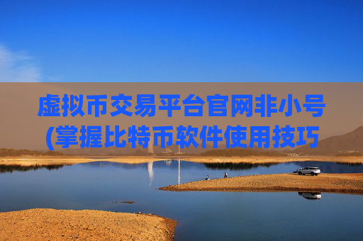 虚拟币交易平台官网非小号(掌握比特币软件使用技巧)