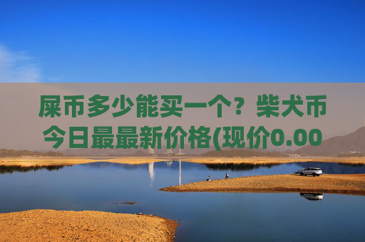 屎币多少能买一个？柴犬币今日最最新价格(现价0.00017208元)