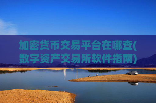 加密货币交易平台在哪查(数字资产交易所软件指南)