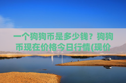 一个狗狗币是多少钱？狗狗币现在价格今日行情(现价2.5416元)