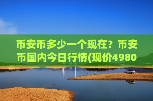 币安币多少一个现在？币安币国内今日行情(现价4980.83元)