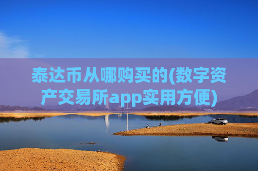 泰达币从哪购买的(数字资产交易所app实用方便)