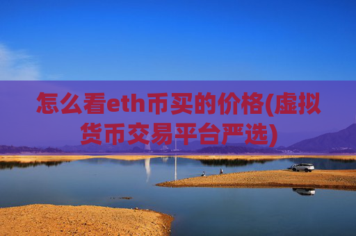 怎么看eth币买的价格(虚拟货币交易平台严选)