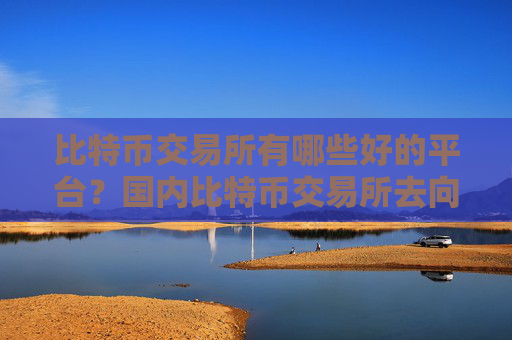 比特币交易所有哪些好的平台？国内比特币交易所去向