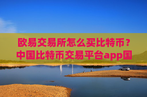 欧易交易所怎么买比特币？中国比特币交易平台app国际版