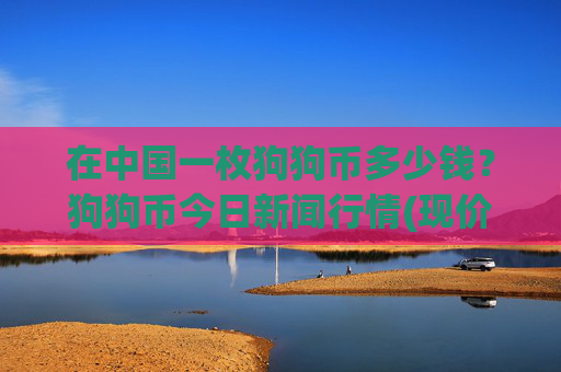 在中国一枚狗狗币多少钱？狗狗币今日新闻行情(现价2.6619元)