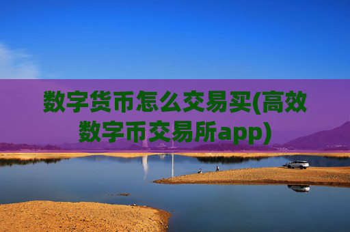 数字货币怎么交易买(高效数字币交易所app)