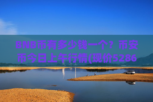 BNB币有多少钱一个？币安币今日上午行情(现价5286元)