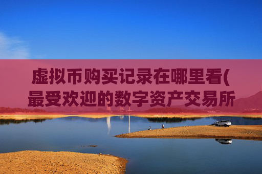 虚拟币购买记录在哪里看(最受欢迎的数字资产交易所)
