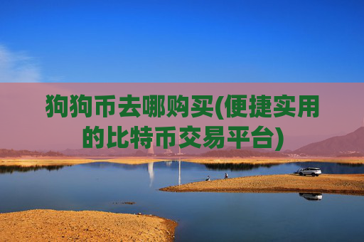 狗狗币去哪购买(便捷实用的比特币交易平台)