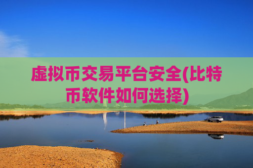虚拟币交易平台安全(比特币软件如何选择)