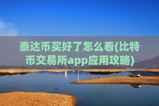 泰达币买好了怎么看(比特币交易所app应用攻略)