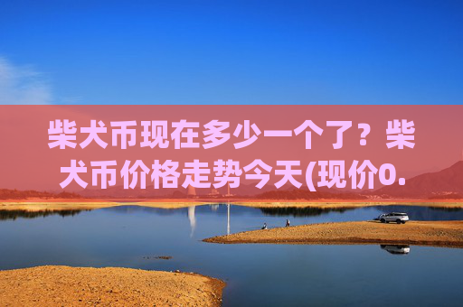 柴犬币现在多少一个了？柴犬币价格走势今天(现价0.0001763元)