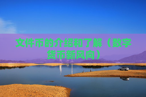 文件币的介绍和了解（数字货币新风向）