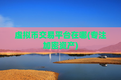 虚拟币交易平台在哪(专注加密资产)