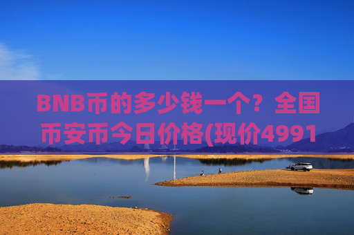 BNB币的多少钱一个？全国币安币今日价格(现价4991.68元)