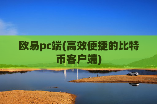 欧易pc端(高效便捷的比特币客户端)