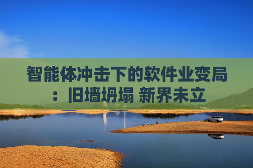 智能体冲击下的软件业变局：旧墙坍塌 新界未立